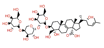 Ectyoplaside B